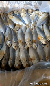 SUPER MURAH Ikan Asin SELAR 1000 gram/ COD Di Tempat