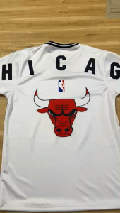 Chicago bulls 23