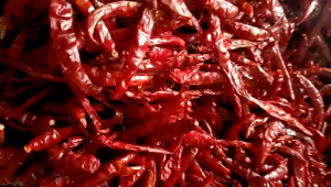 kemasan ( 3.kg ) CABE RAWIT TEJA KERING INFOR KULITAS SUPER PEDAS TANPA TANGKAI