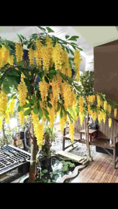 ดอกคูณ พร้อมใบ ((💥1ก้าน มี6ยวง) ดอกไม้ประดิษฐ์ ดอกไม้พลาสติก สวยงามมาก จัดตกแต่งต้นไม้ ตกแต่งในงานพิธีต่างๆ จัดสวน งานฝีมือ