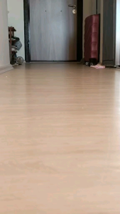 RUNNING BALL HAMSTER - BOLA GLINDING HAMSTER《KODE#6》