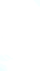 ล็อกเก็ตหลวงพ่อเงิน หลังพระประจำวันเสาร์ (ปรางค์นาคปรก) ขนาด 1.6×2.4 ซม. ปี 2515 วัดบางคลาน จังหวัดพิจิตร
