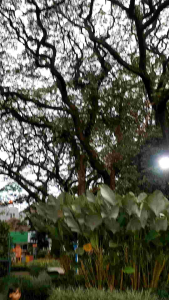 SERAGAM POLISI ANAK LENGKAP SESUAI FOTO