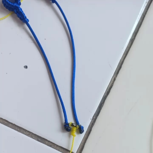 tali burung elang alap-alap