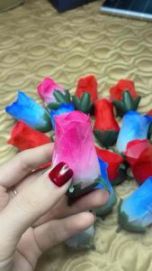 Nụ Hồng nhỏ bấm phim sẵn 50bông