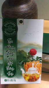 [ CHÍNH HÃNG - SET QUÀ 2 HỘP] Trà đông trùng hạ thảo tam thất thượng hạng giúp ăn ngon ngủ tốt hỗ trợ bệnh nền