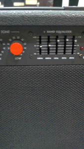 Sports in Style Tony Smith Bass Guitar Amplifier 30 watts