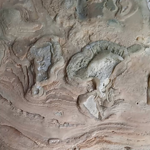 Batu Suiseki Natural: Keindahan dan Dekorasi