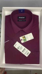 (8P2006)áo ngắn tay form regulerfit ( ôm vừa)