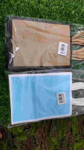 Doorgirft Paper Bag L Beg Kertas Wedding Doorgirft /Paper Bag Goodies /Paper Bag With Handle Beg Hadiah Beg Doorgirft Khawin Pastel /10 Pcs Per Pkt Paper Bag Gift /Bag Murah /Bag Jamuan /Gift Bag /Wedding Gift Perkhawinan /DIY Decoration Perkhawinan.