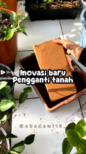 AGROPIN media tanam cocopeat murni agropin original TERLARIS no. 1 di Indonesia mengembang 6x dari ukuran semula