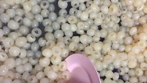 ลำไยคว้านเนื้อ1กิโลกรัม 1กก/140บาท ส่งทั่วไทย