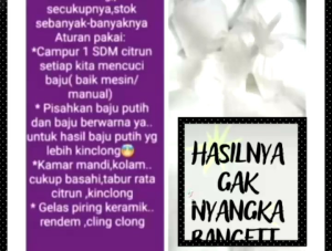 Citrun Biang Pembersih Serbaguna / Sitrun 250gram