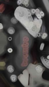 น๊อตยึดปั้ม4 พอต ลายเฟืองXmax/Forza (เกลียวหยาบ) สแตนเลสแท้ (ราคาคู่ละ)