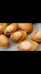 Bào Ngư Khô Đại Liên ( Loại 100g 5 con / 100g 8 con )