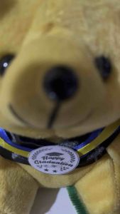 Boneka wisuda murah/Boneka wisuda sekolah/Teddy Bear wisuda murah