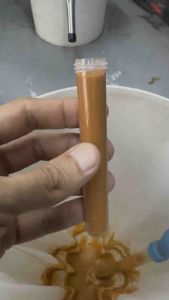 Artemia BBS Frozen 15ML