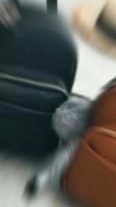 Tas ransel Korea style tas ransel wanita tas sekolah tas fashion/NUS