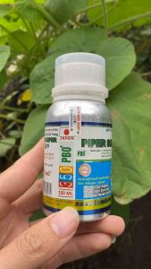 Thuốc diệt muỗi Piper Super Nhật Bản 100ml diệt muỗi kiến gián hiệu quả - thuốc xịt muỗi y tế công nghệ Nhật bản diệt muỗi trong nhà hiệu quả