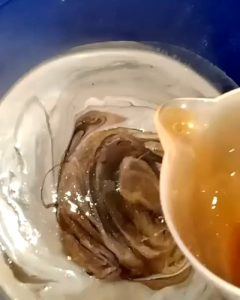Madu Murni Nektar Bunga Mangga Kemasan 1kg 100% Raw honey