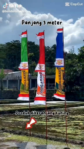 umbul umbul  warna warna paket usaha murah  5 pcs