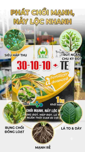 Phân Bón Siêu Hấp Thụ 30-10-10 + TE 1kg[1 hộp gồm 4 túi× 250gr = 800Lit tưới hoặc bơm] Công Nghệ Nano - Chồi Mạnh Nảy Lộc Nhanh BUNG ĐỌT MẬP ĐỌT LÁ TO....