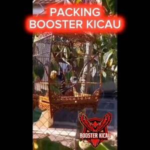 ⚡⚡𝐅𝐀𝐒𝐓 𝐒𝐇𝐈𝐏𝐏𝐈𝐍𝐆⚡⚡ 𝐁𝐎𝐎𝐒𝐓𝐄𝐑 𝐊𝐈𝐂𝐀𝐔 ✅𝐌𝐄𝐑𝐁𝐀𝐇 𝐉𝐀𝐌𝐁𝐔𝐋 ( 𝐏𝐈𝐊𝐀𝐓 / 𝐓𝐀𝐍𝐃𝐈𝐍𝐆 )