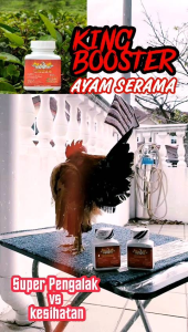 ⚡⚡𝐅𝐀𝐒𝐓 𝐒𝐇𝐈𝐏𝐏𝐈𝐍𝐆⚡⚡ 𝐊𝐈𝐍𝐆 𝐁𝐎𝐎𝐒𝐓𝐄𝐑 ✅𝐀𝐘𝐀𝐌 𝐒𝐄𝐑𝐀𝐌𝐀 🔴ORIGINAL🔴 BOOSTER SERAMA #AYAMCEPATGARANG #RAJINKOKOK #LEBIHAGRESIF #LEBIHSTAMINA