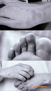 MINYAK BULUS SR12 ORIGINAL 20ML