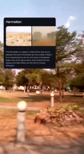 Teh Celup Tea Blend Flu Fighter Tea Chamomile Cinnamon Ginger Lemongrass Peppermint Safflower