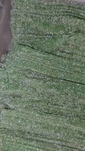 OD TROVES Sugar and Sour Candy Belts