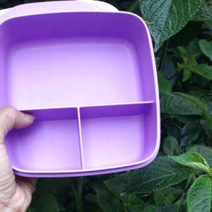 Lunch Box/Neal Box/Snack Box