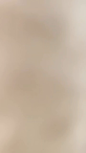 Cat Feather Stick Cat Teaser Cat Toys Mainan Kucing