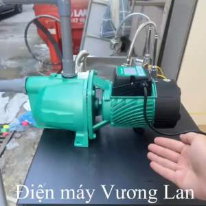Máy bơm nước con lợn 750W (1HP) cánh đồng TAIFU TJSW/10M - Bảo hành 1 năm