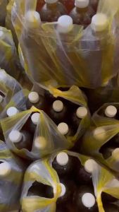 MẬT ONG HOA CÀ PHÊ ĐẮK LẮK chai 1lít🍯🍯