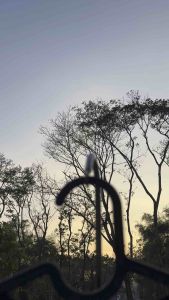 เสื้อยืด oversize cotton 100%