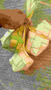 Cangkang Ketupat Tanjung (10 Pcs) Asli Ciamis Efektif Siap Pakai