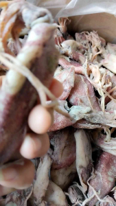 1 kg ikan cumi cumi asin kering dendeng cumi gereh cumi segar ORI