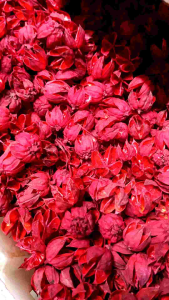 Kelopak Rosella merah - bunga Rosella kering - bahan kerajinan - properti dekoratif fotografi
