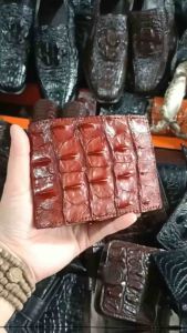 Ví Da Lưng cá sấu cho nam cao cấp