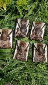 Ví cá sấu nguyên thuỷ ví dài độc lạ