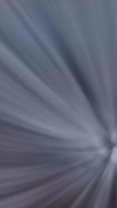 Ví da cá sấu nhất dương chỉ độc quyền cho nam