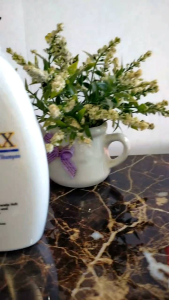 DandrEX Anti-Dandruff Shampoo