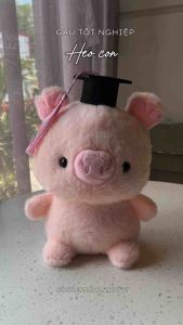 (Tặng thiệp đèn) Gấu bông tốt nghiệp heo hồng dễ thương quà tặng tốt nghiệp