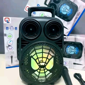 wireless portable speakers with wired Mic complet set