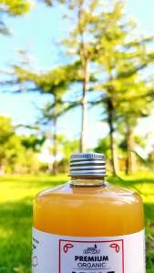 TERLARIS PROMO PAKET HEMAT Cuka Apel Organik 250 ML 4 BOTOL - Premium Apple Cider Vinegar With The Mother