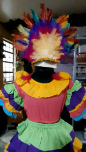 Ms. Costa Rica Costume: A Guide to Costumes for Special Occasions