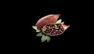 Ketoklenz Chocolate Drink for Healing Slimming & Colon Cleansing