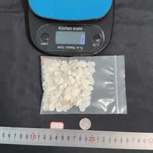 หอยลายมินิไวท์ 1-2cm 50g สำหรับการตกแต่งบ้าน - White Clam Shells