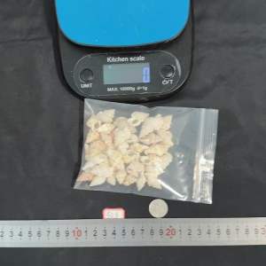 หอยสังข์สีเหลืองขนาดเล็ก  50g huang xuan small yellow conch seashells